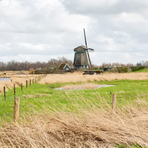 Molens Nederland